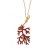 Misis, Necklace gorgonian